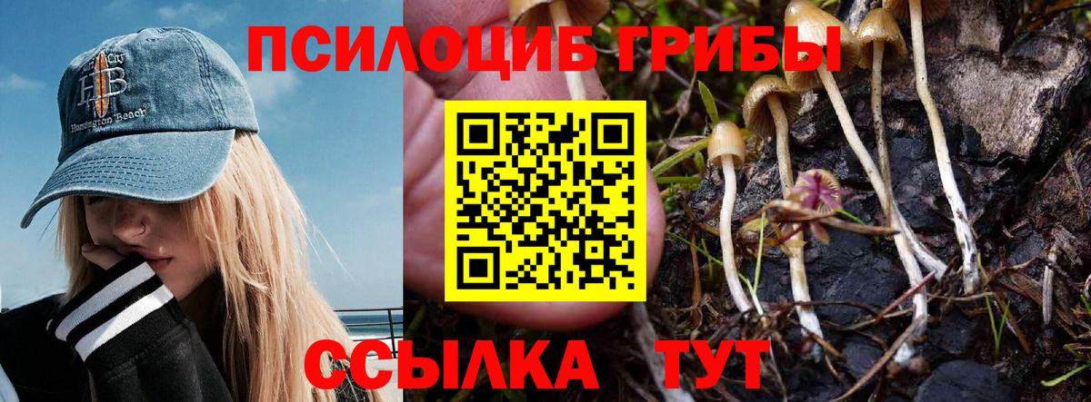 Галлюциногенные грибы Cubensis  Галлюциногенные грибы Cubensis  Вход с VPN  Семёнов 
