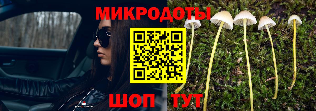 Галлюциногенные грибы MAGIC MUSHROOMS Семёнов